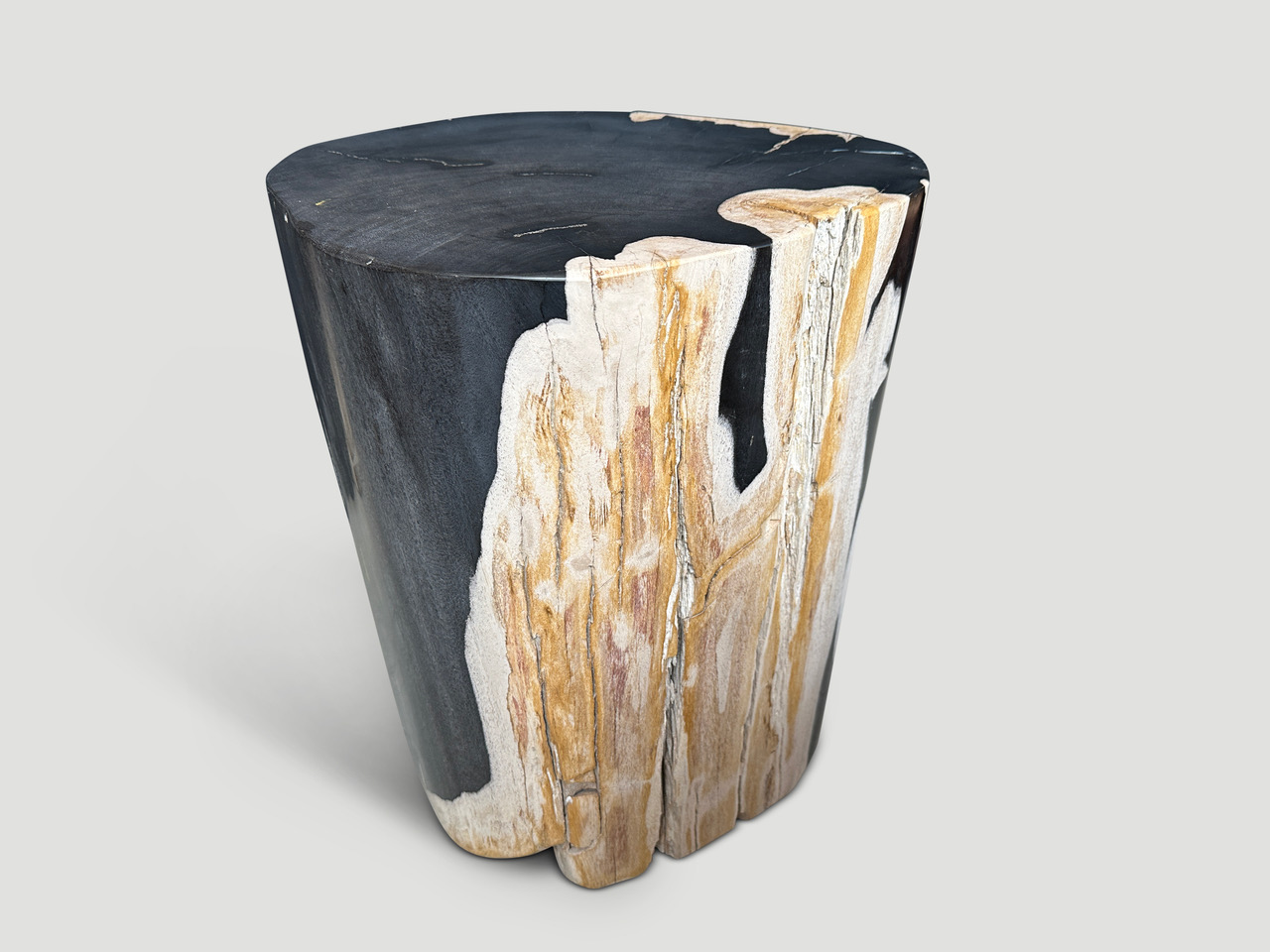 smooth petrified wood side table