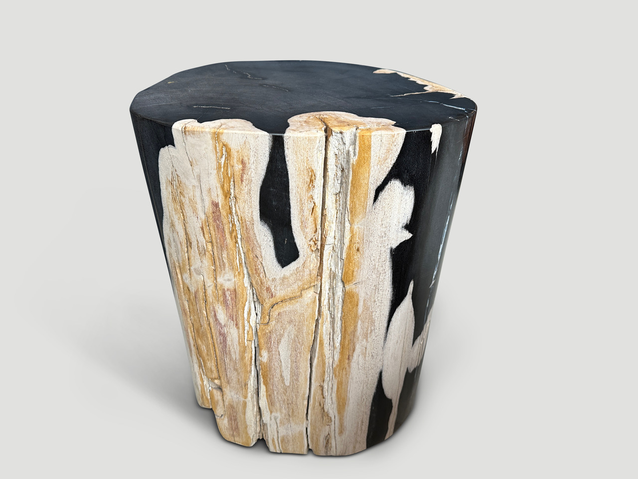 smooth petrified wood side table