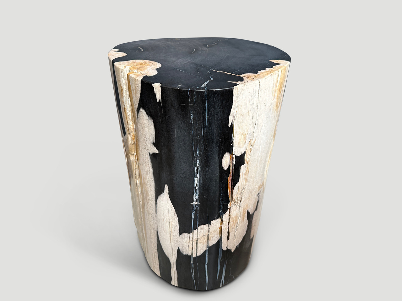 smooth petrified wood side table