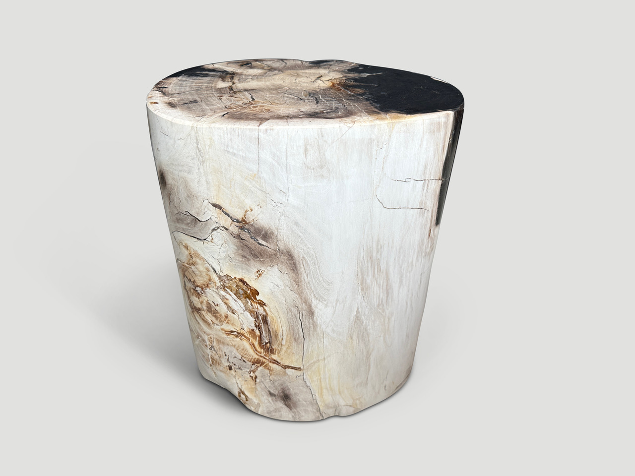 petrified wood side table