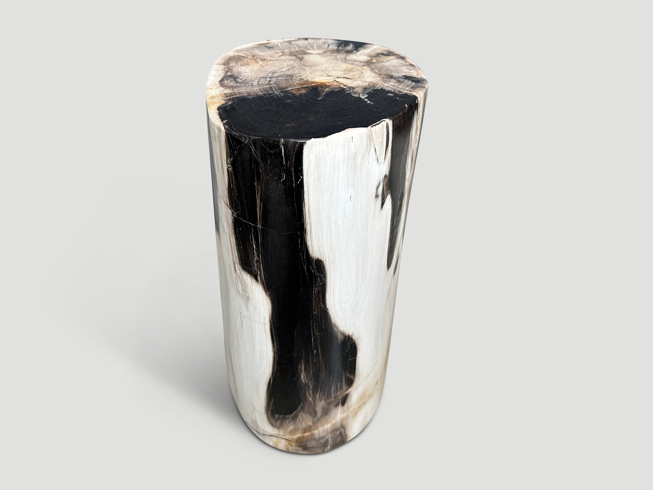 petrified wood side table