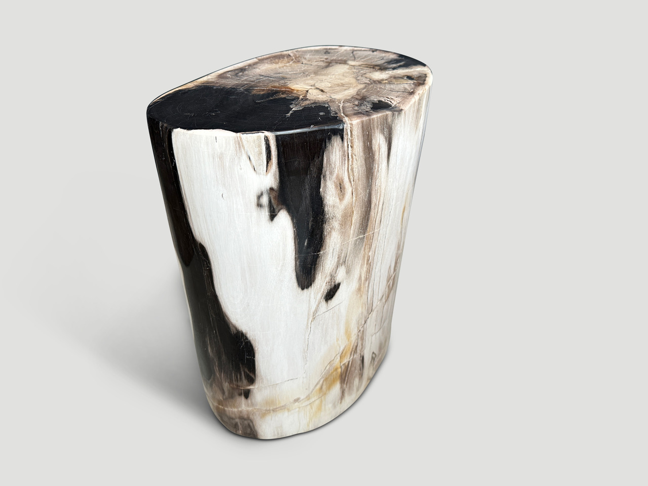 petrified wood side table