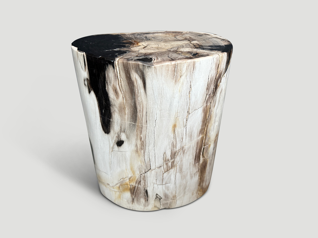 petrified wood side table