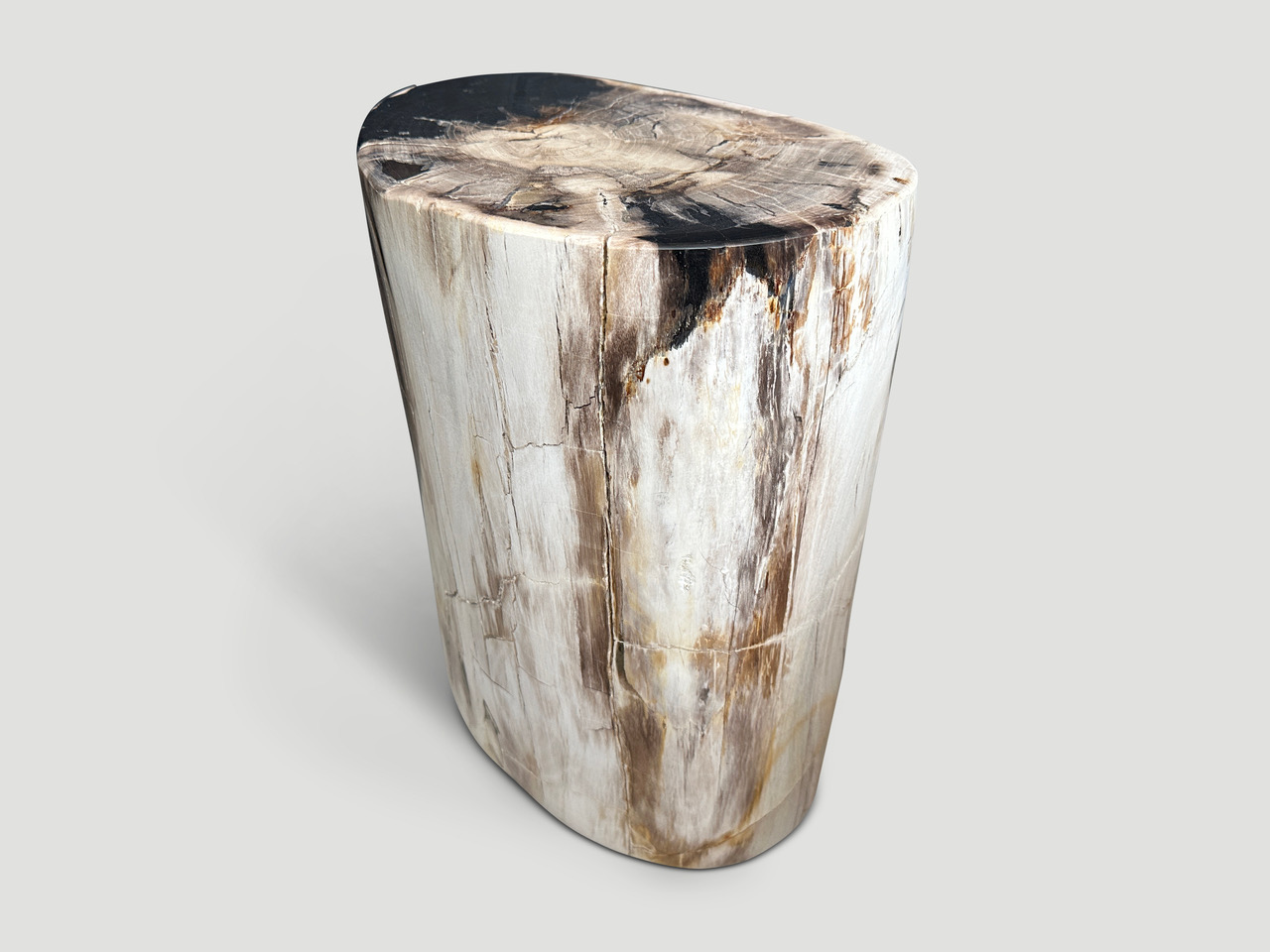 petrified wood side table