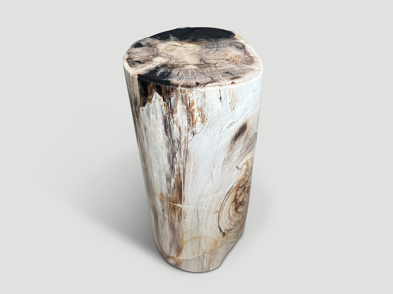 petrified wood side table