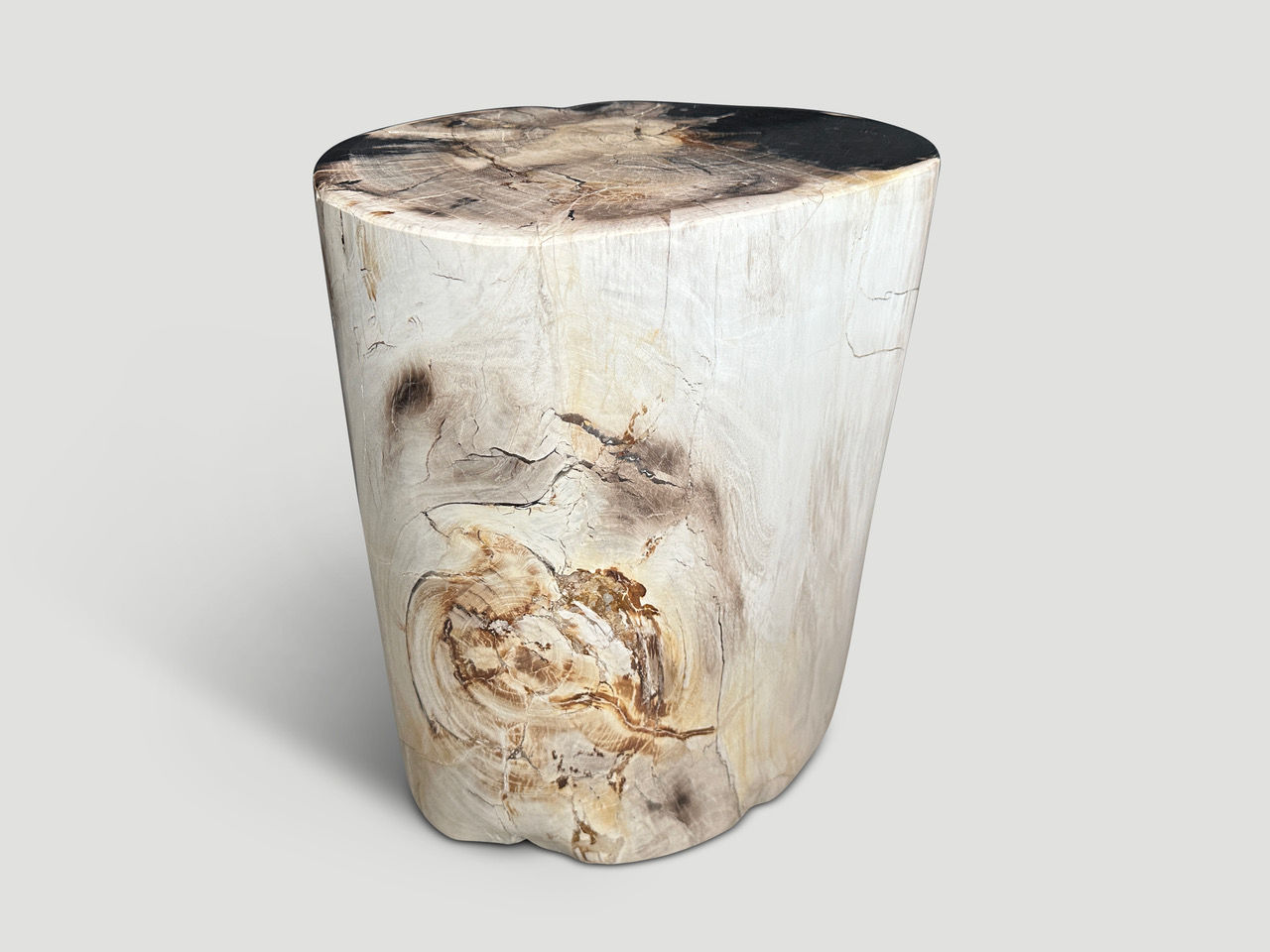 petrified wood side table