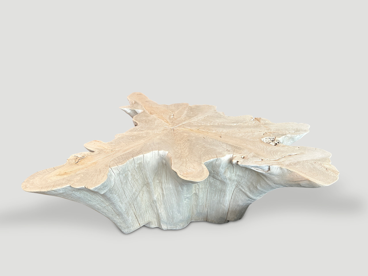 amorphous bleached teak wood coffee table