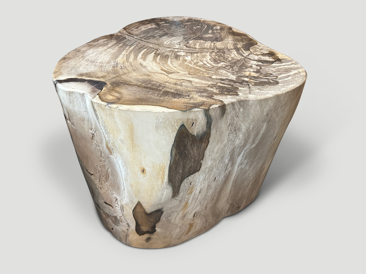 large petrified wood side table