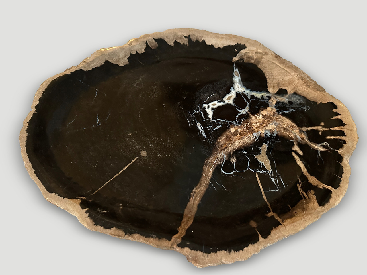 petrified wood shallow dish