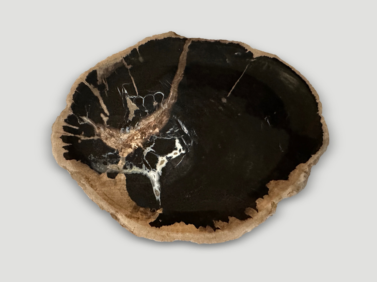 petrified wood shallow dish