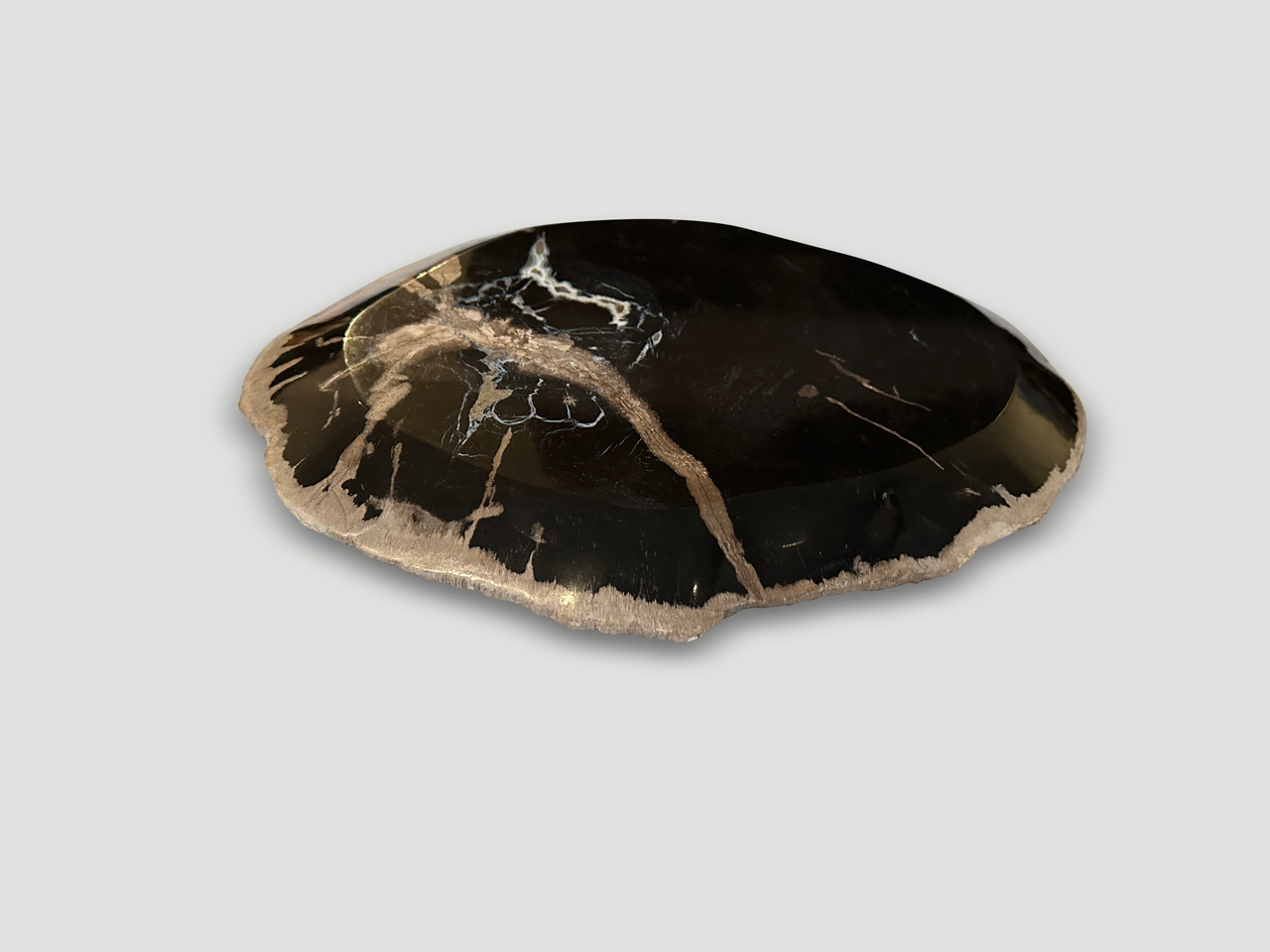 petrified wood shallow dish