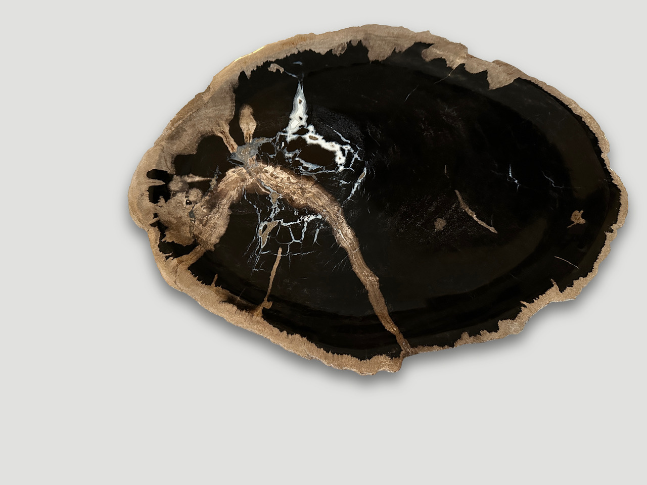 petrified wood shallow dish