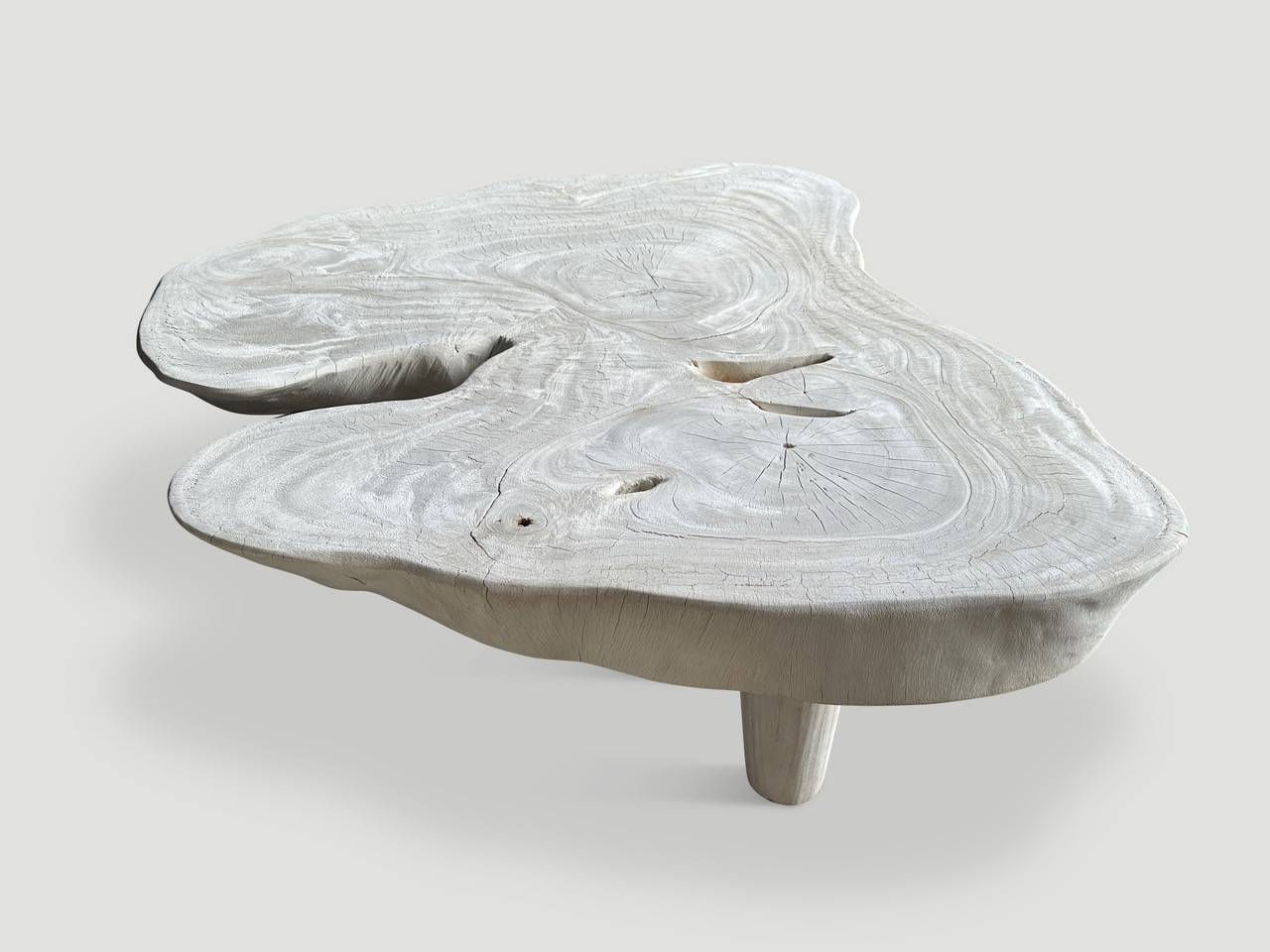 amorphous mid century style bleached suar wood coffee table