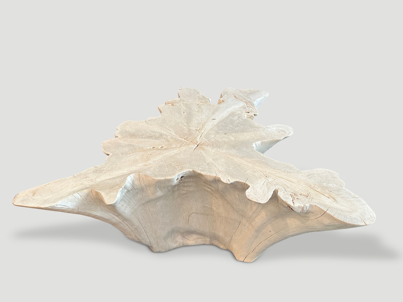 amorphous bleached teak wood coffee table