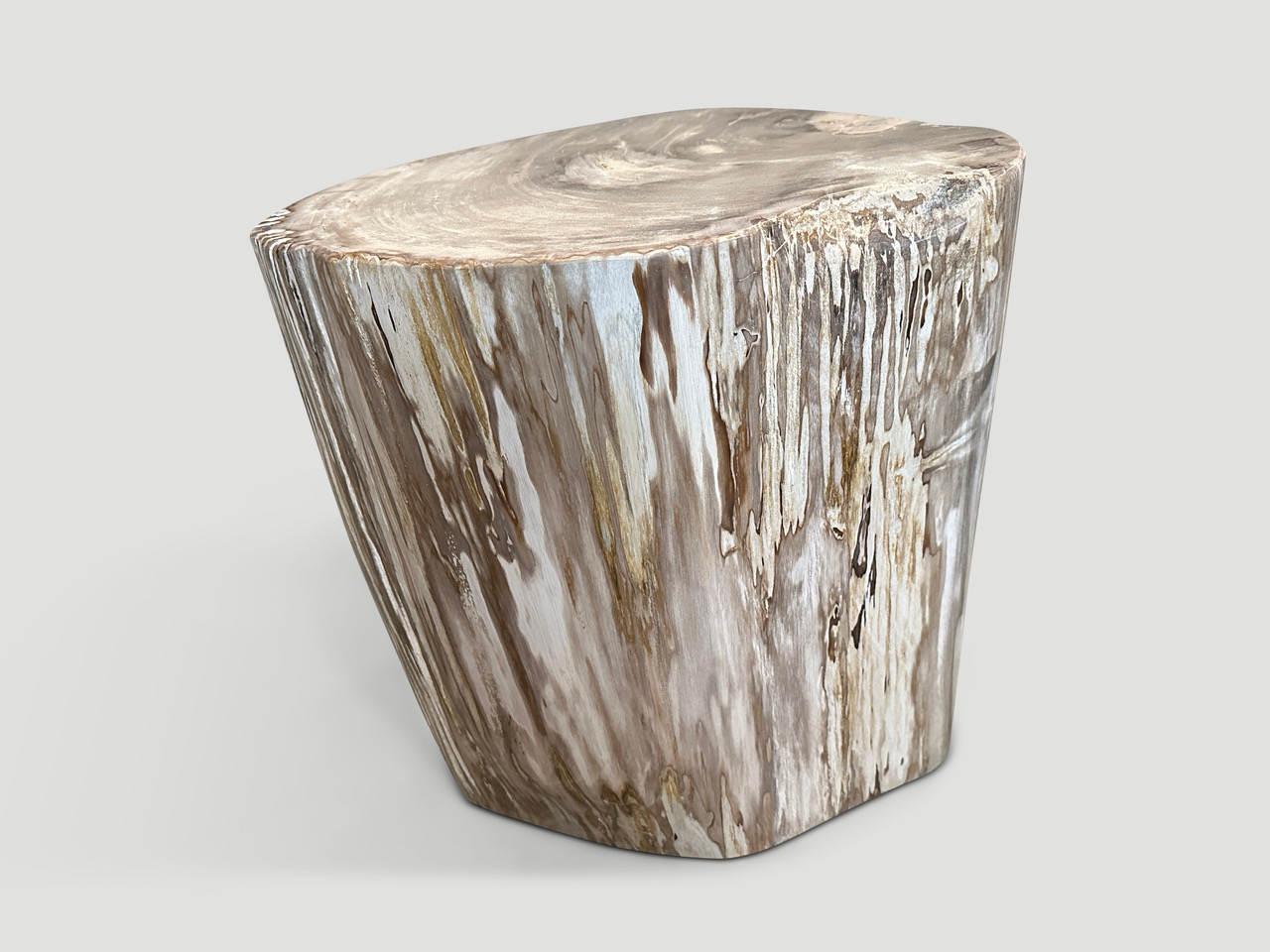 petrified wood side table