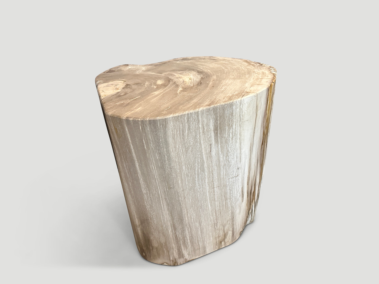 petrified wood side table