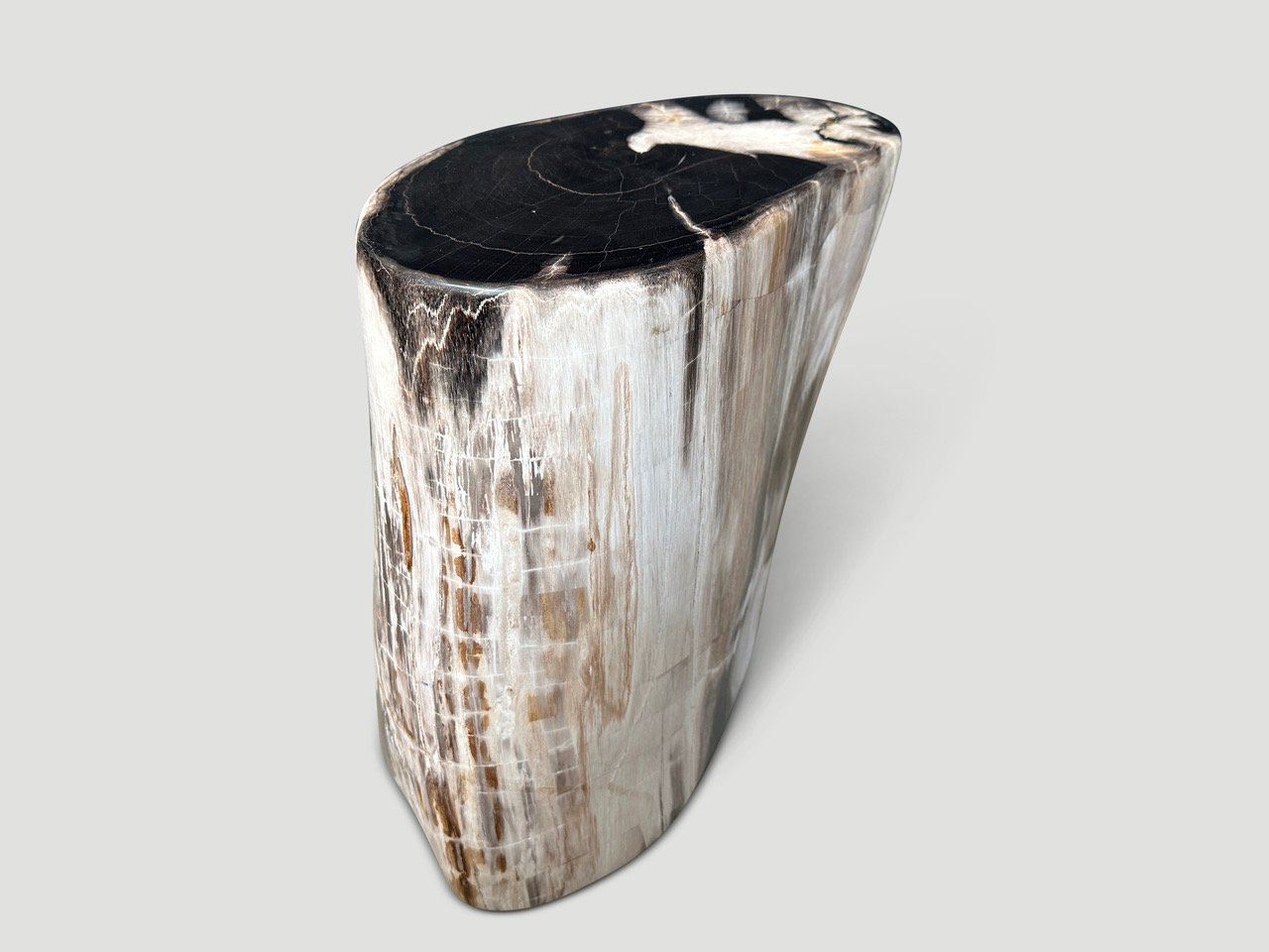 high quality super smooth petrified wood side table