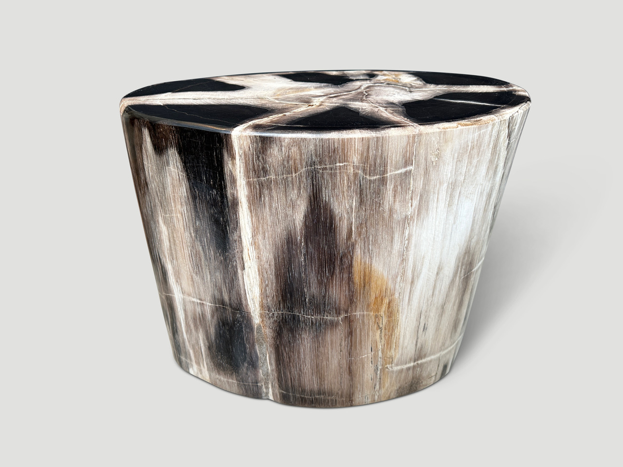 petrified wood side table