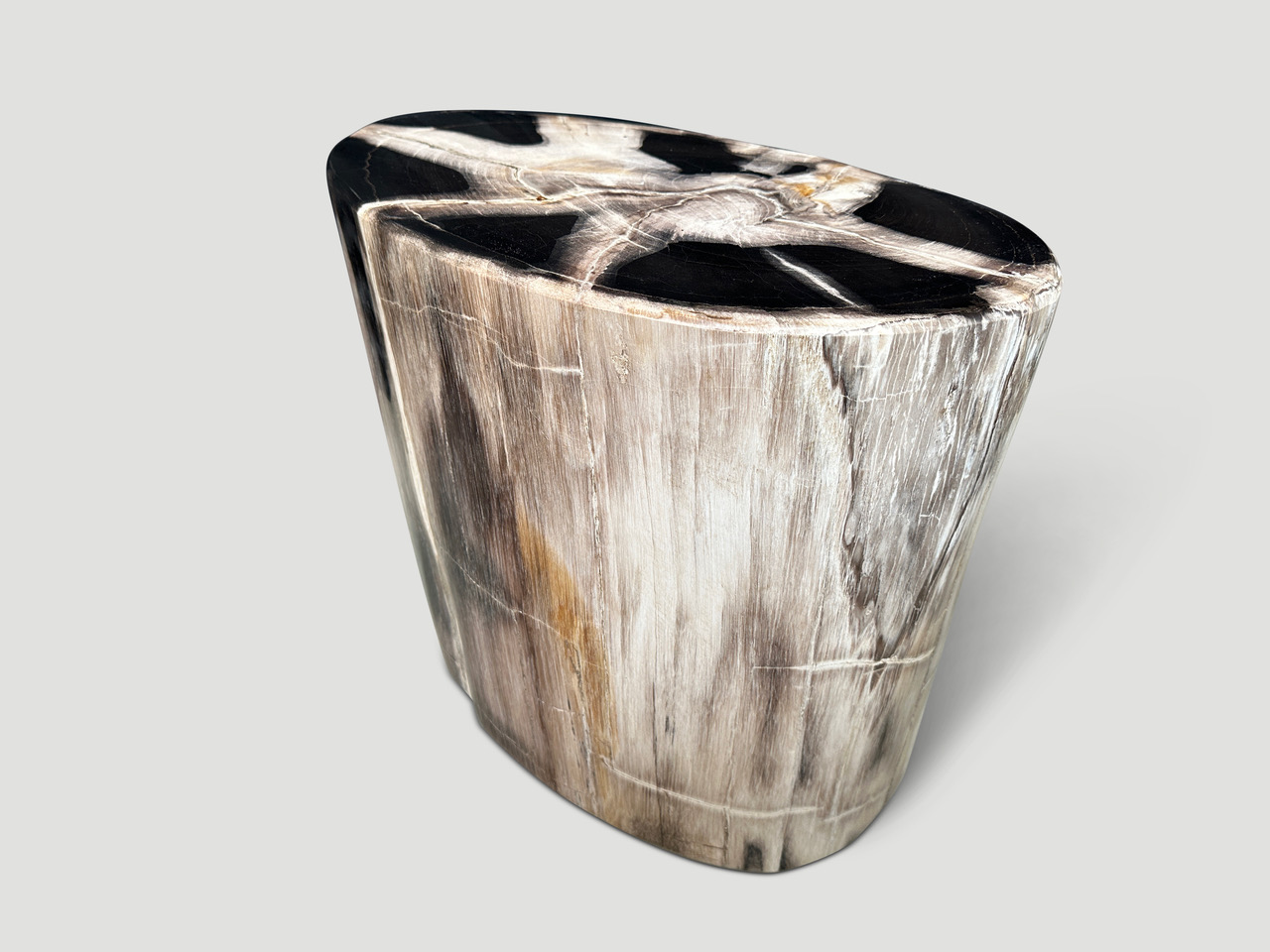 petrified wood side table