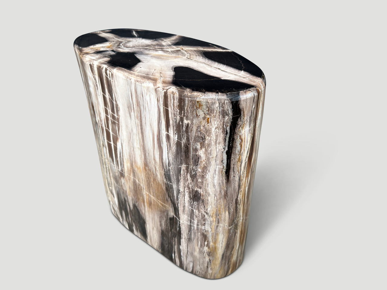 petrified wood side table