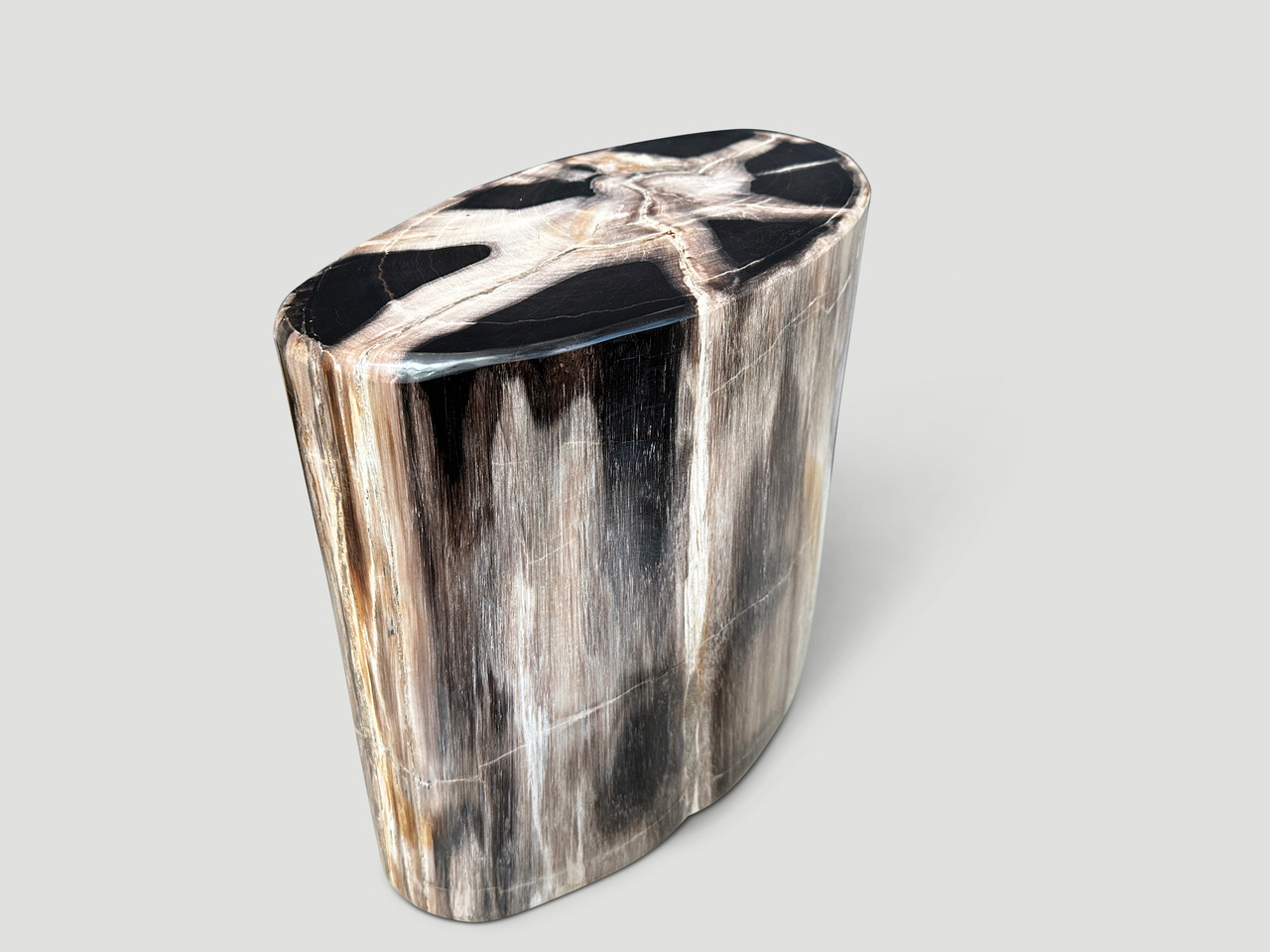 petrified wood side table