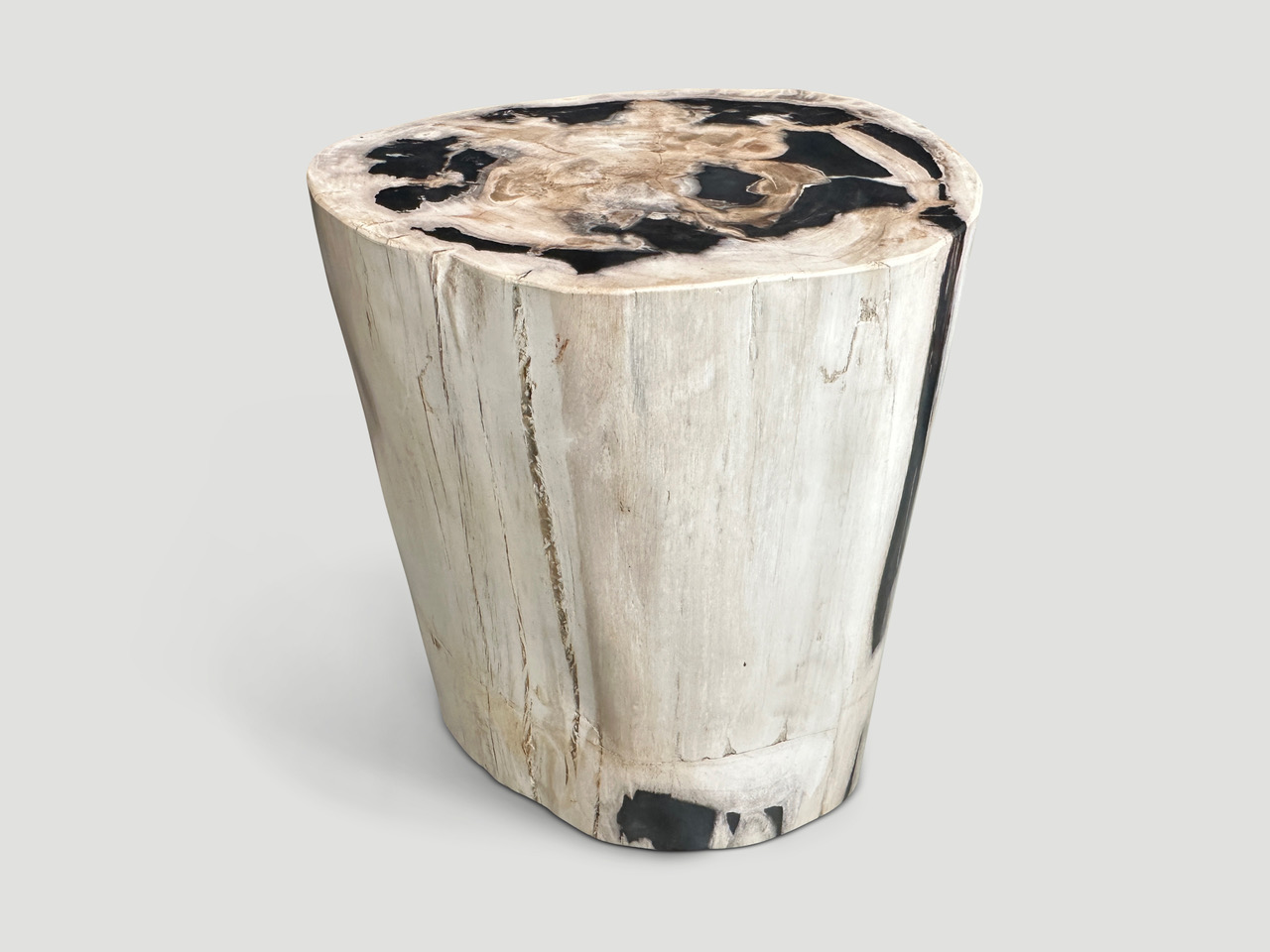 petrified wood side table