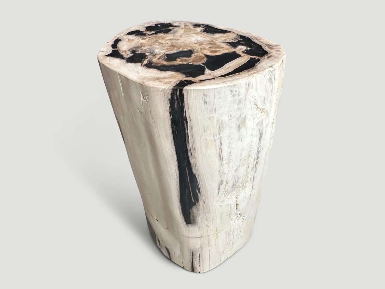 petrified wood side table