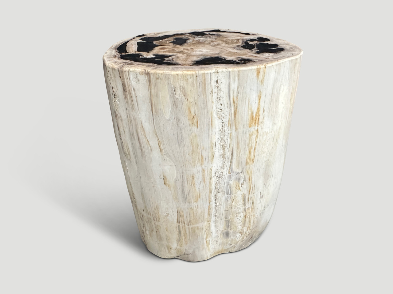 petrified wood side table