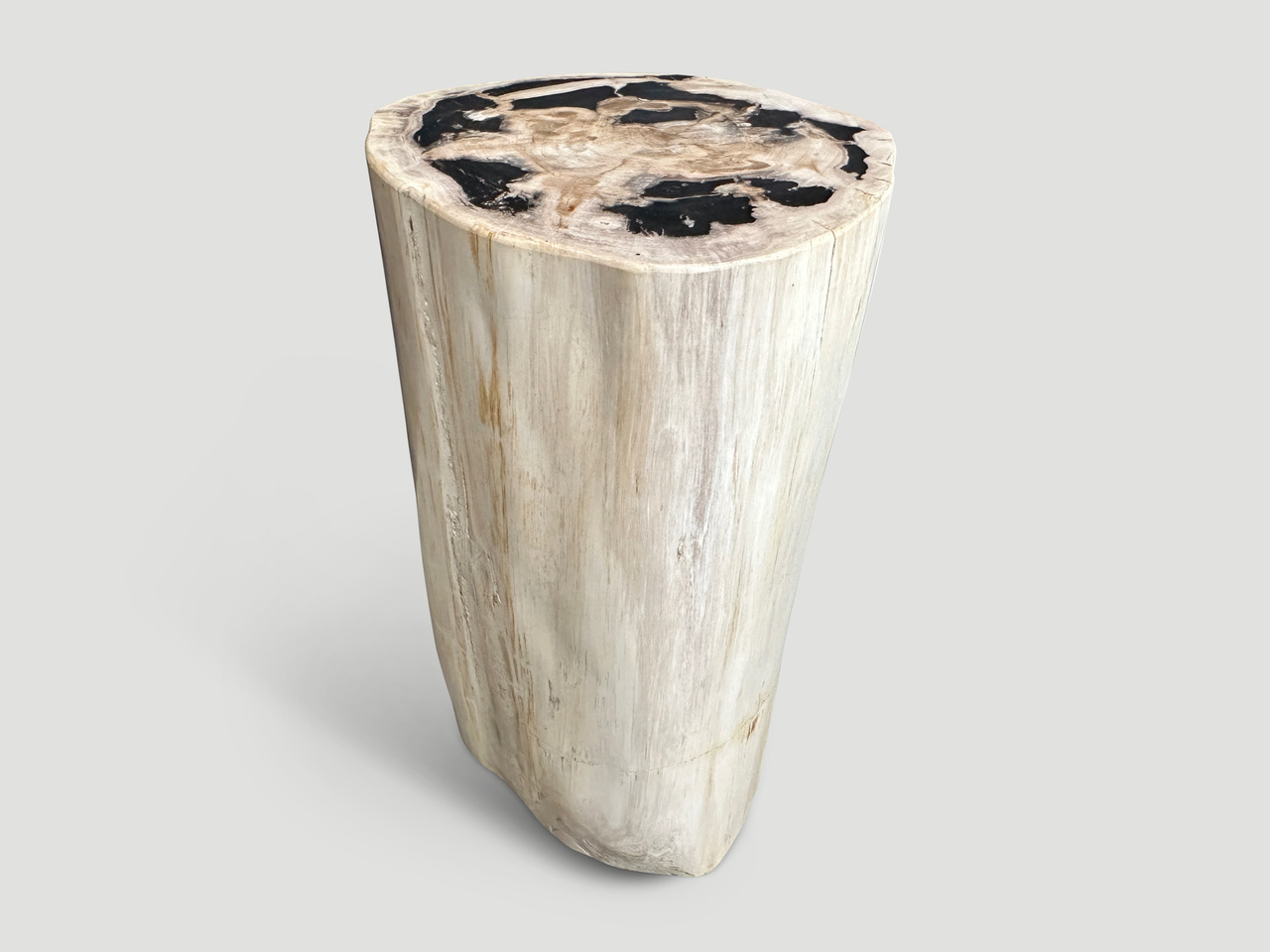 petrified wood side table