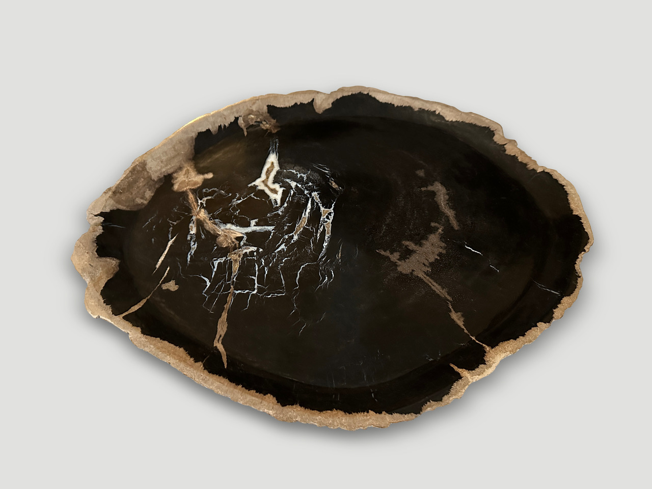 petrified wood shallow dish