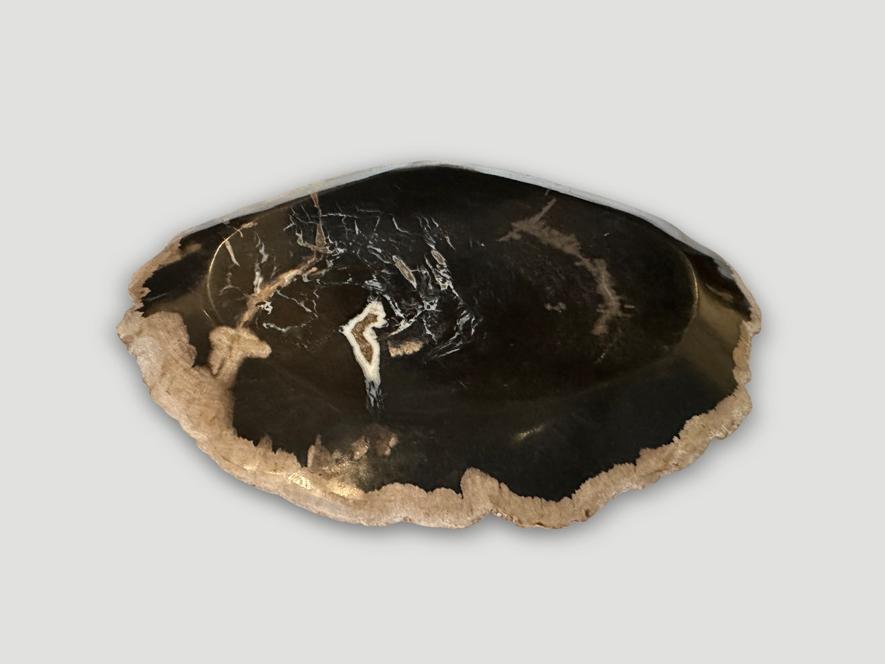 petrified wood shallow dish