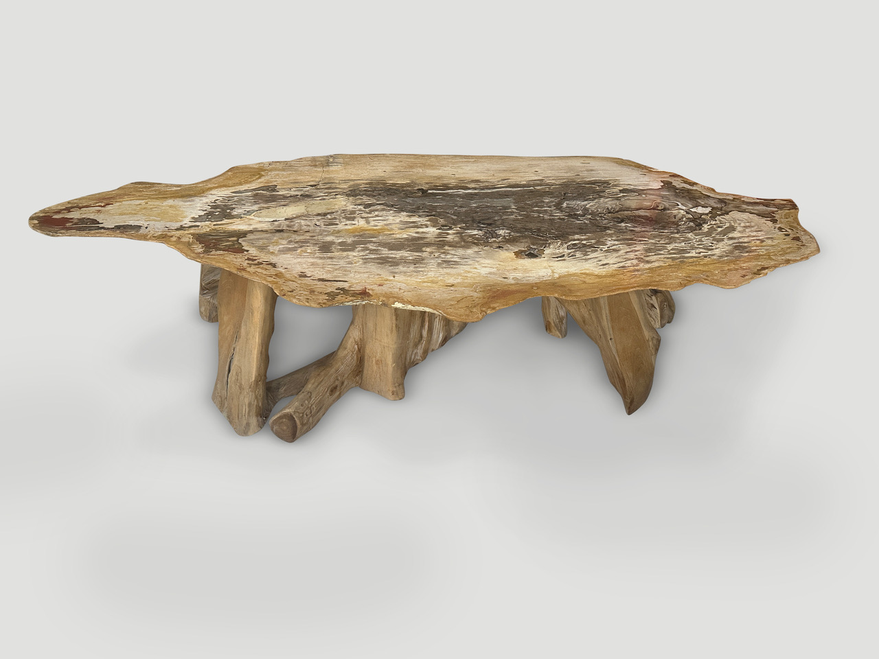 petrified wood coffee table with teak wood base