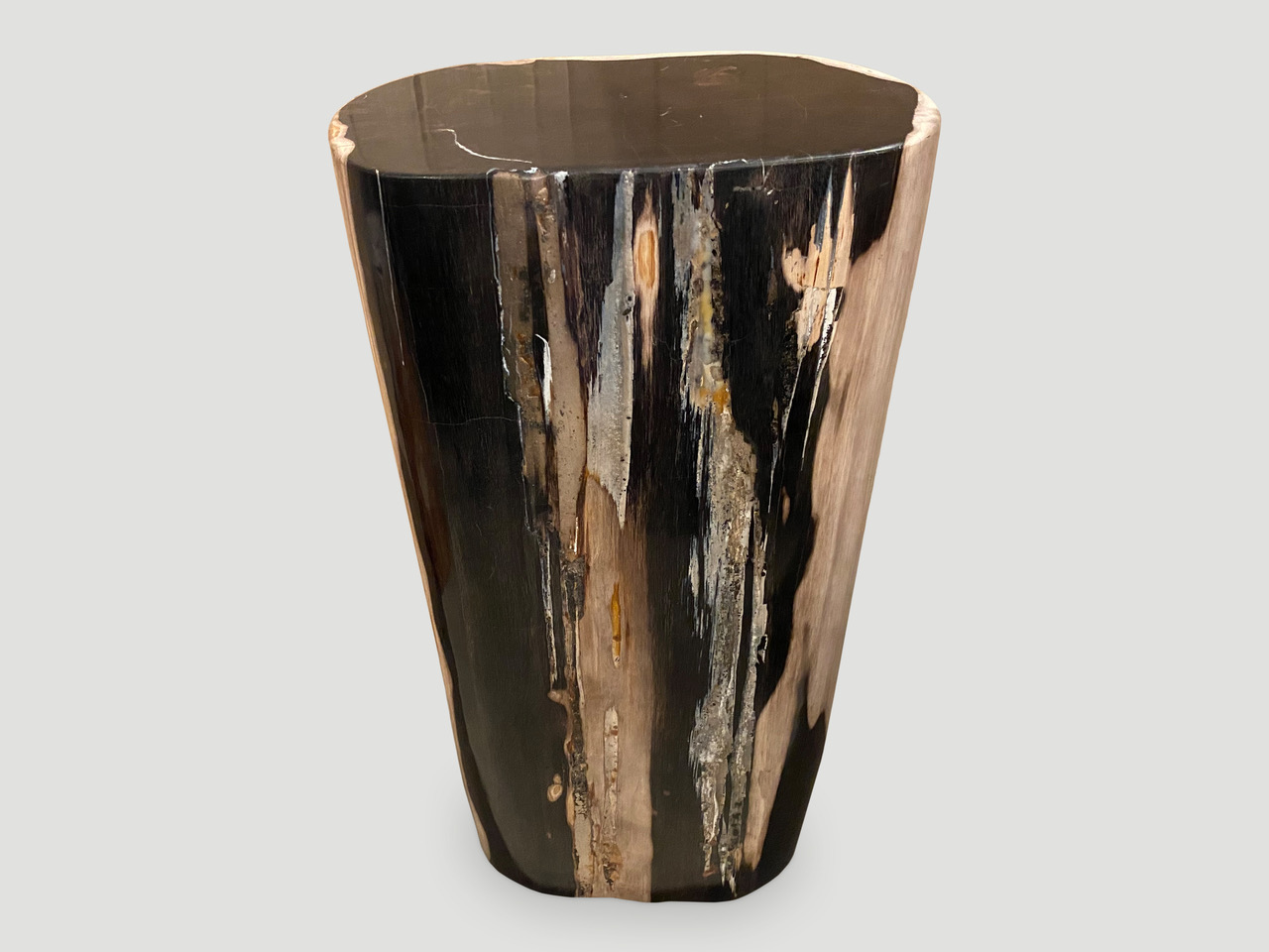 petrified wood side table