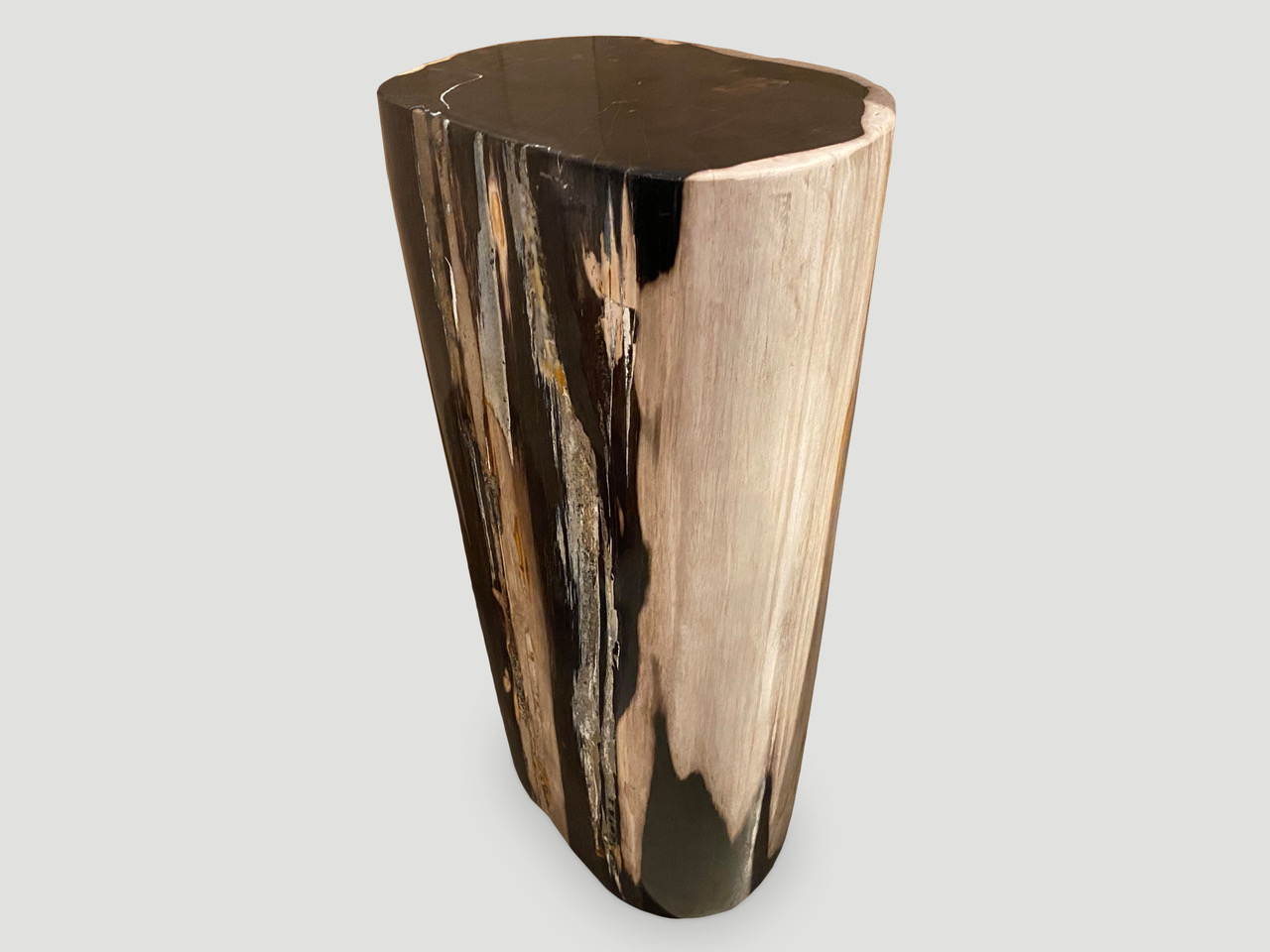 petrified wood side table