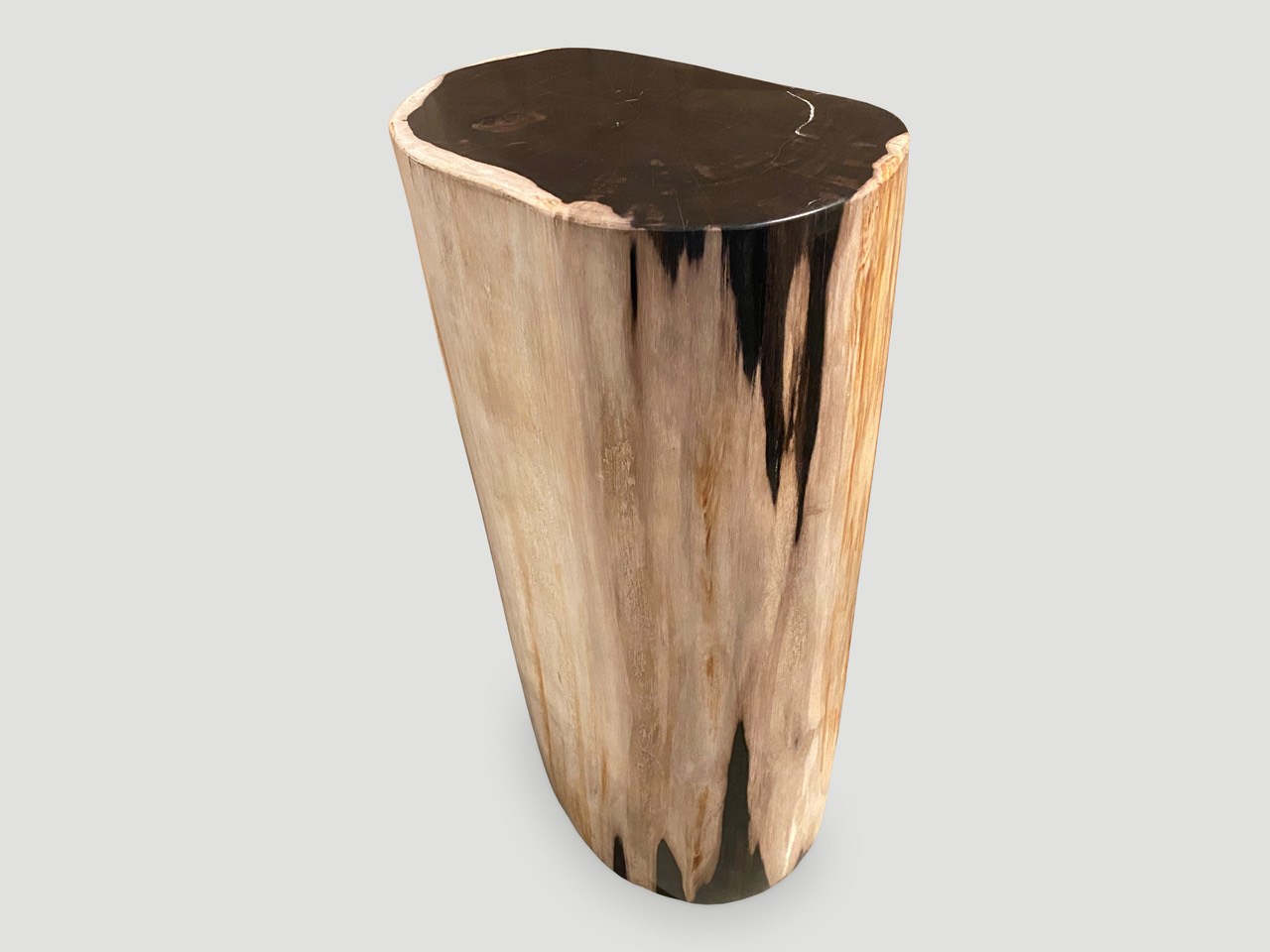 petrified wood side table