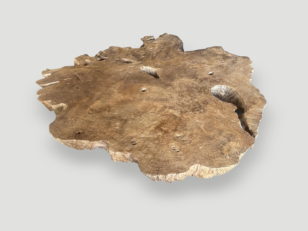 monumental rare burl teak coffee table