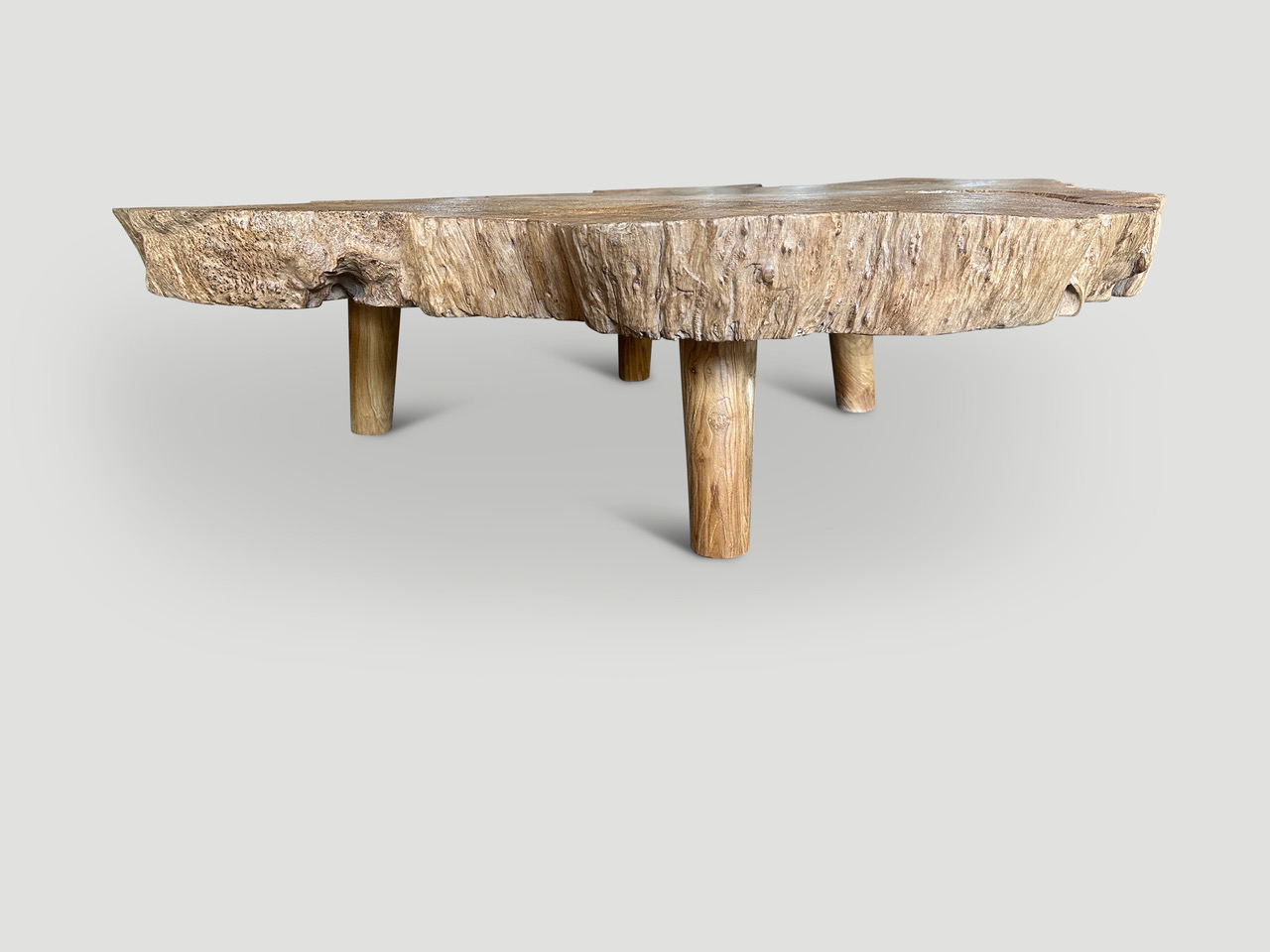 monumental rare burl teak coffee table