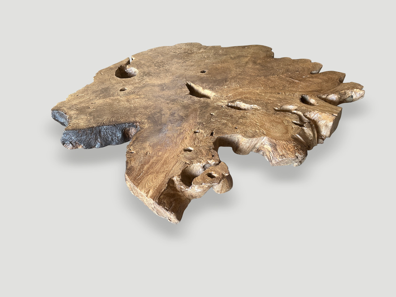 monumental rare burl teak coffee table