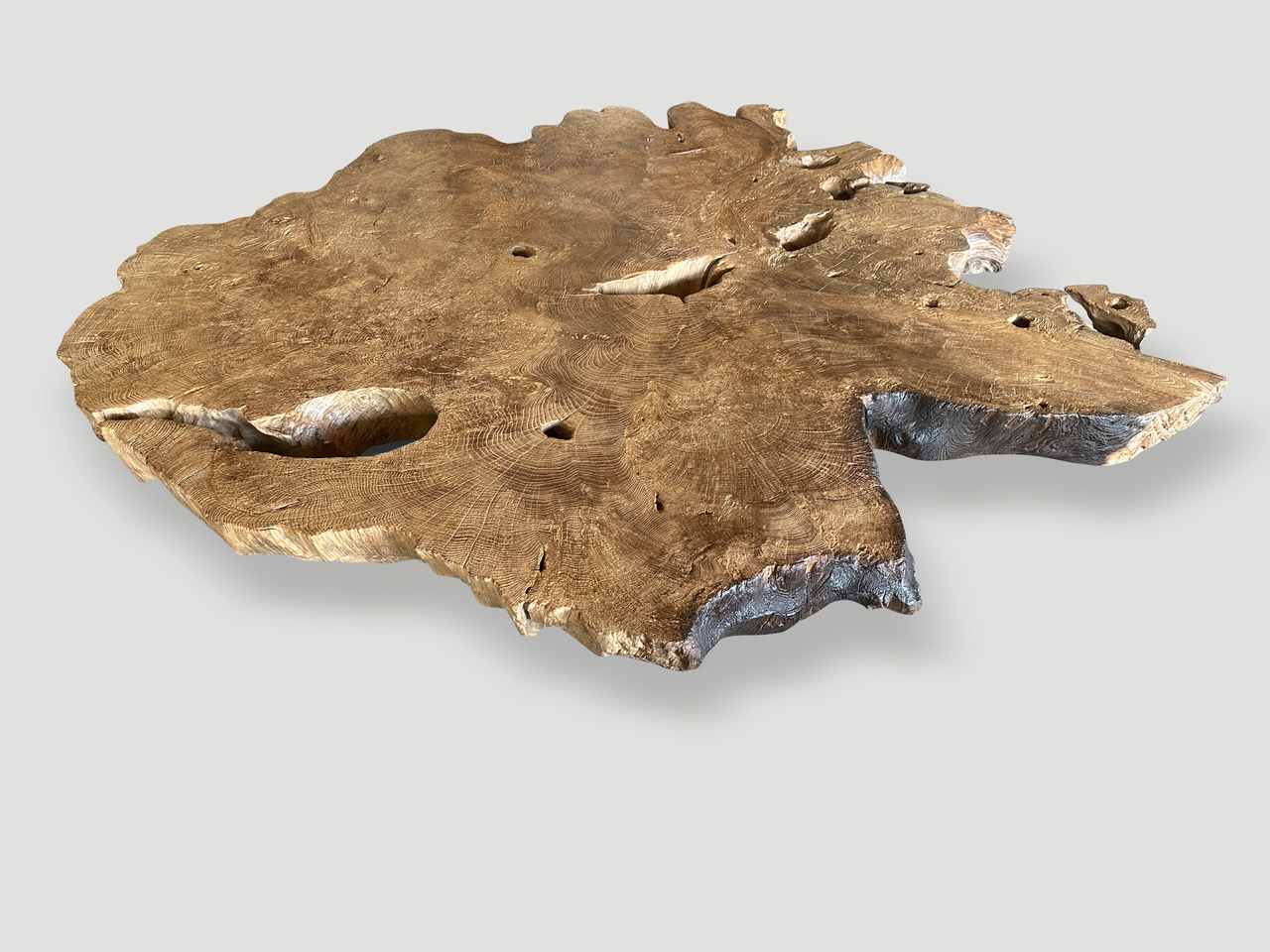 monumental rare burl teak coffee table