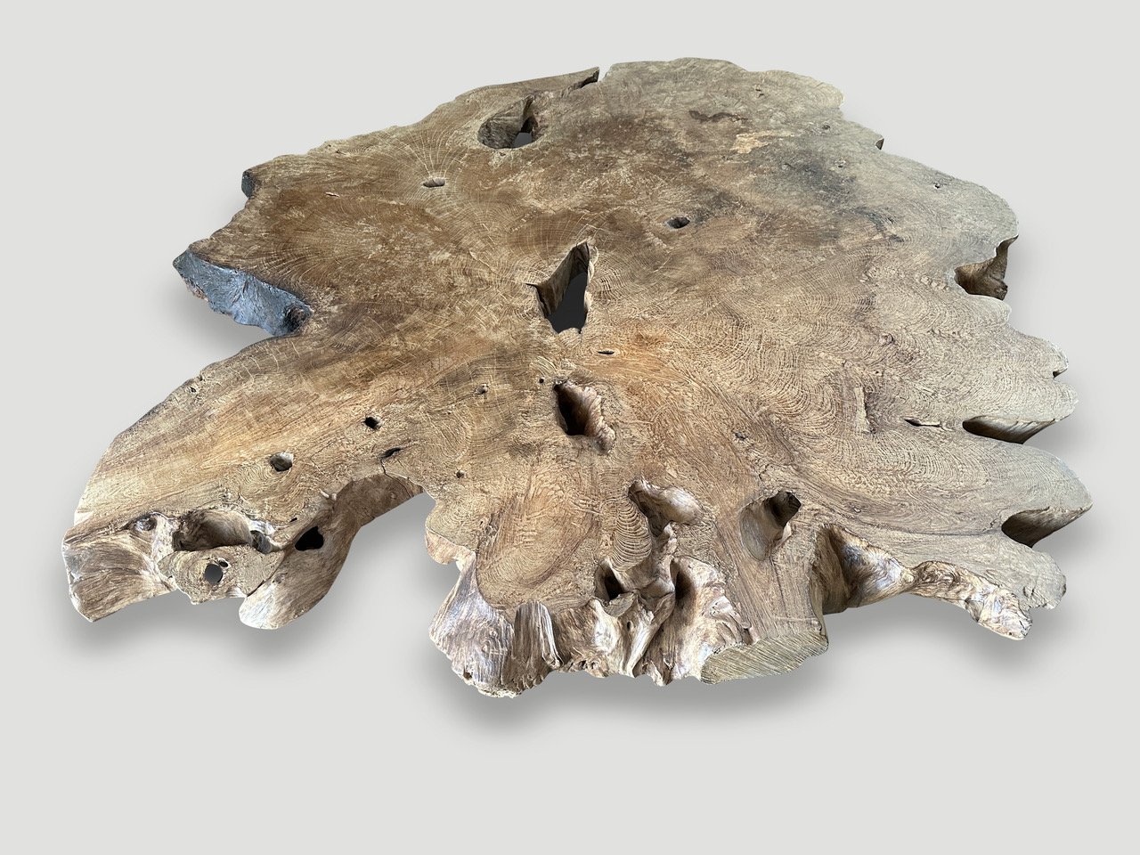 monumental rare burl teak coffee table