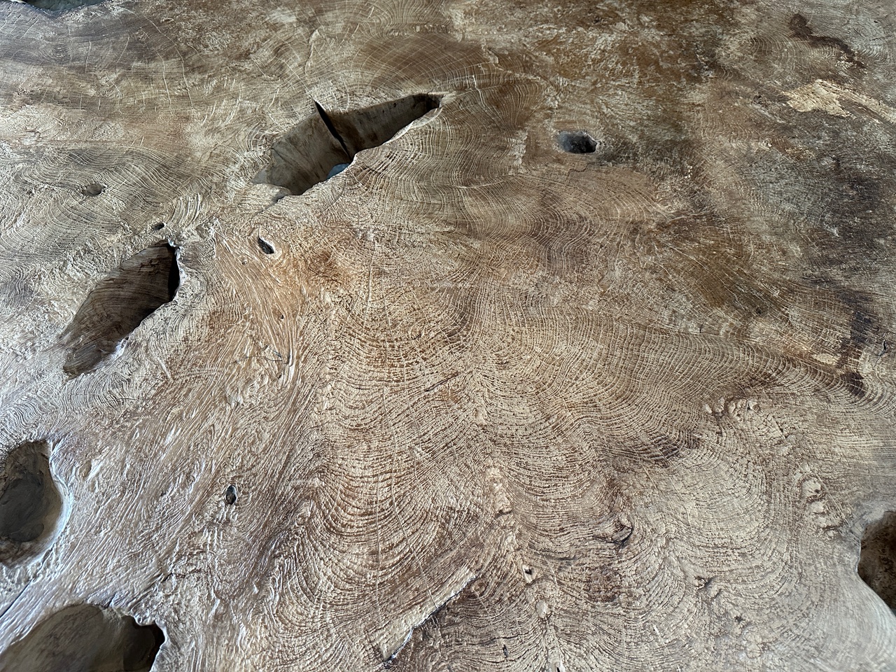 monumental rare burl teak coffee table