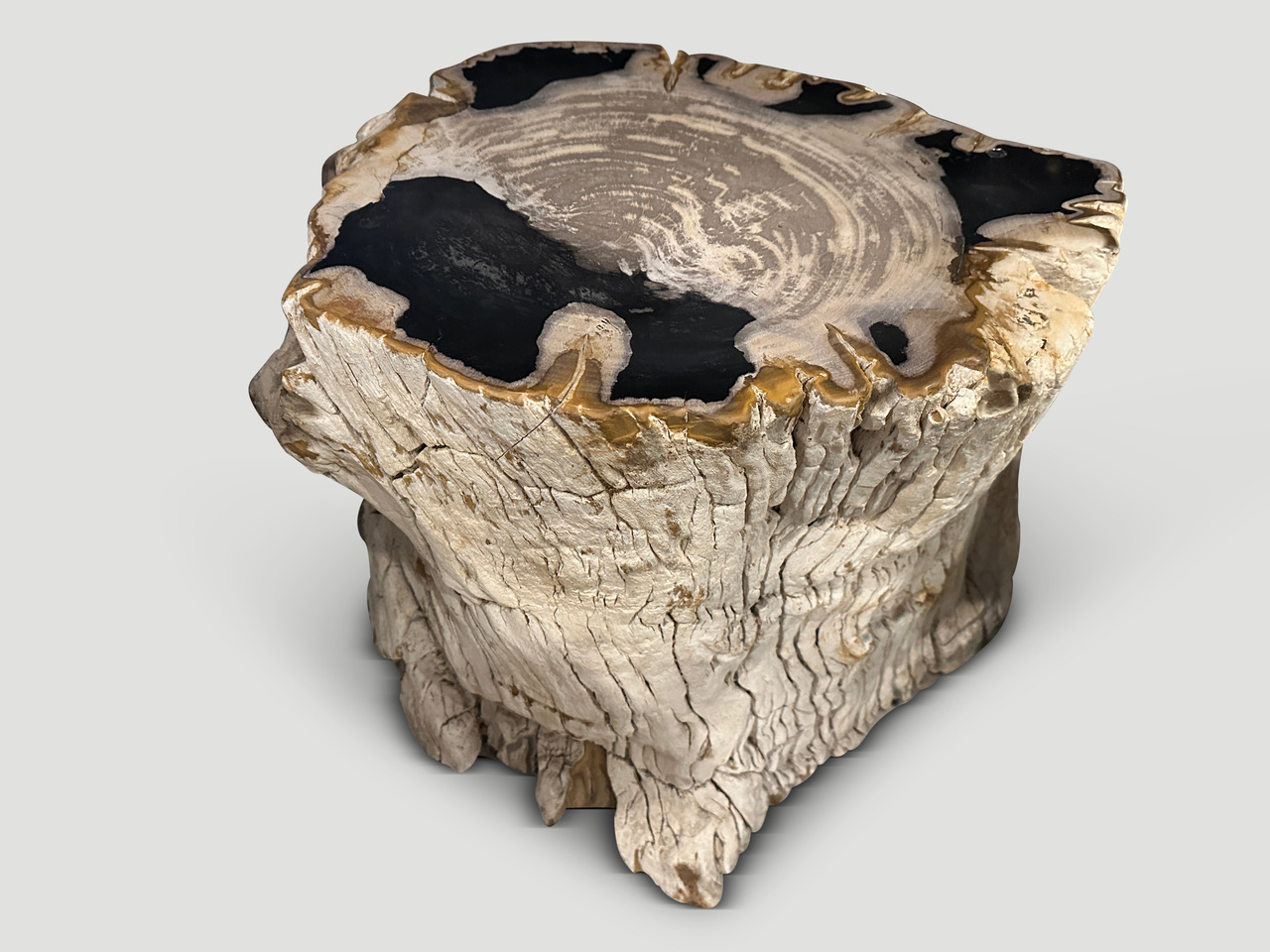 rare high quality petrified wood side table