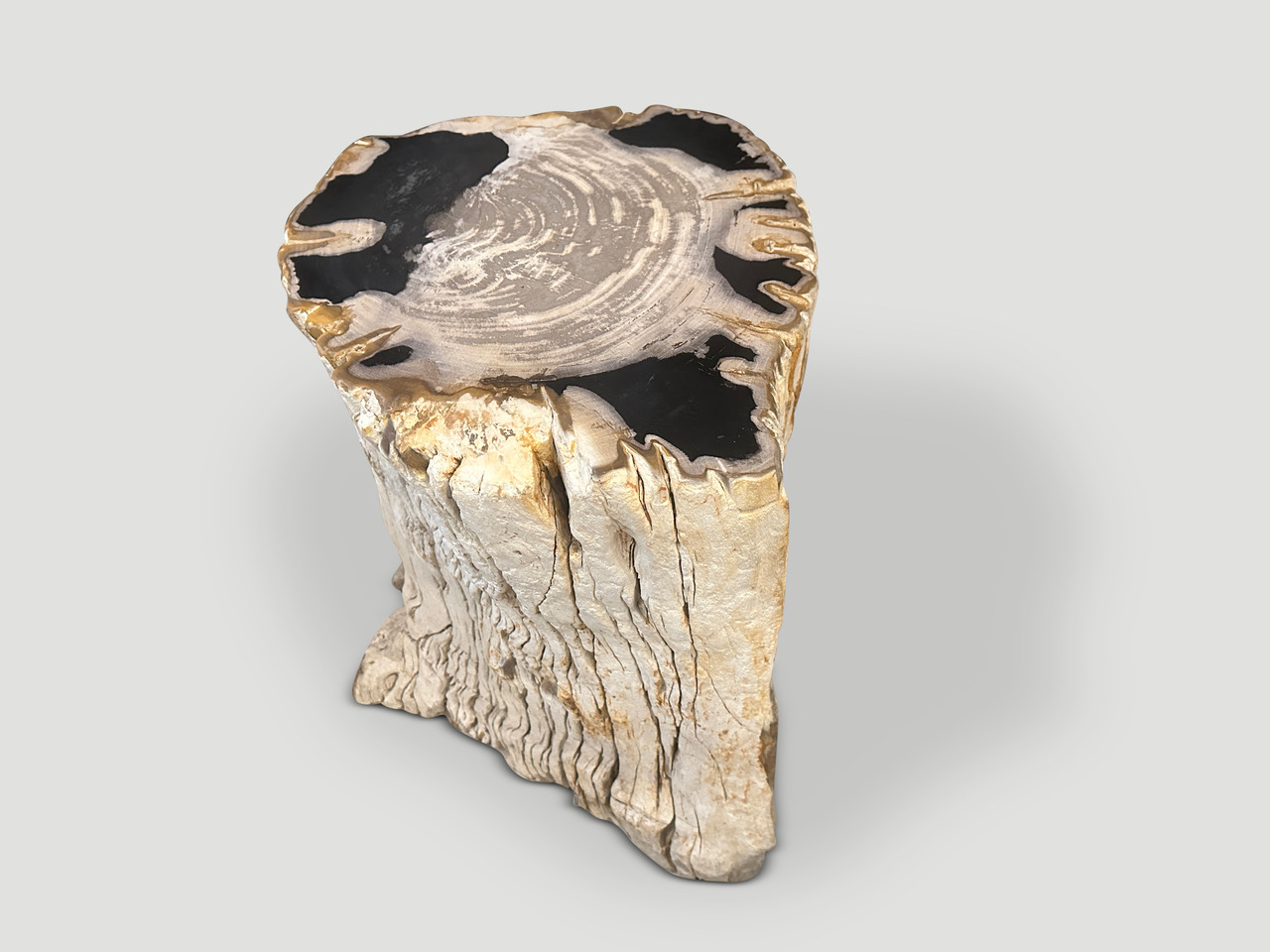 rare high quality petrified wood side table