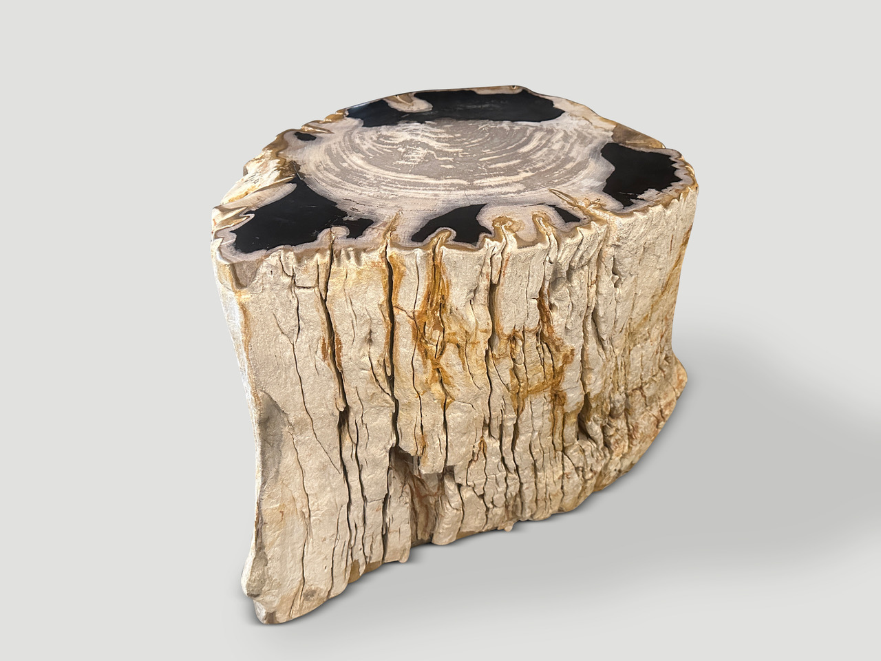 rare high quality petrified wood side table