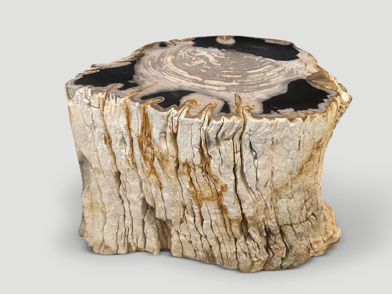 rare high quality petrified wood side table