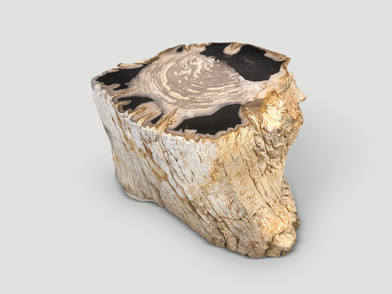 rare high quality petrified wood side table