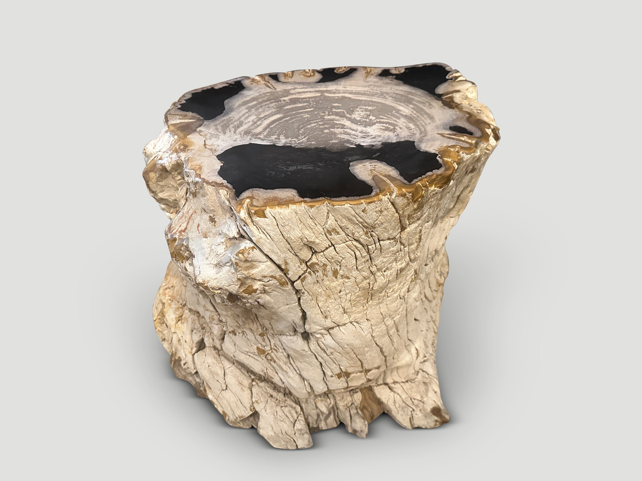 rare high quality petrified wood side table