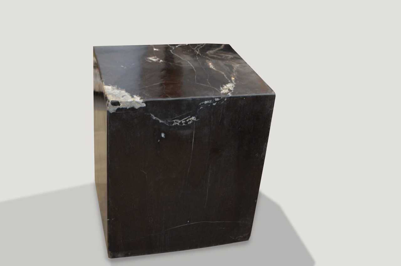 black and white petrified wood side table