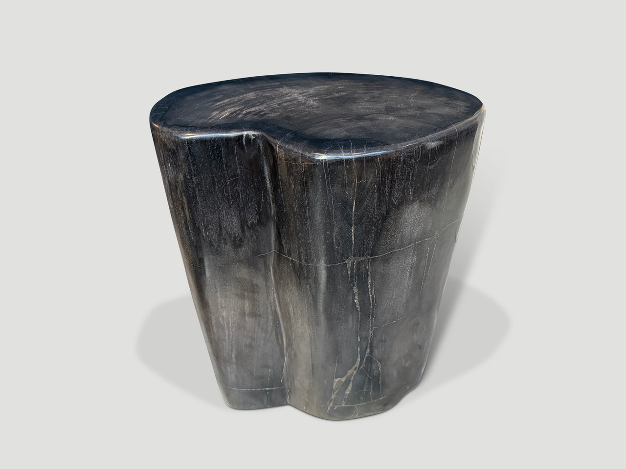 petrified wood side table