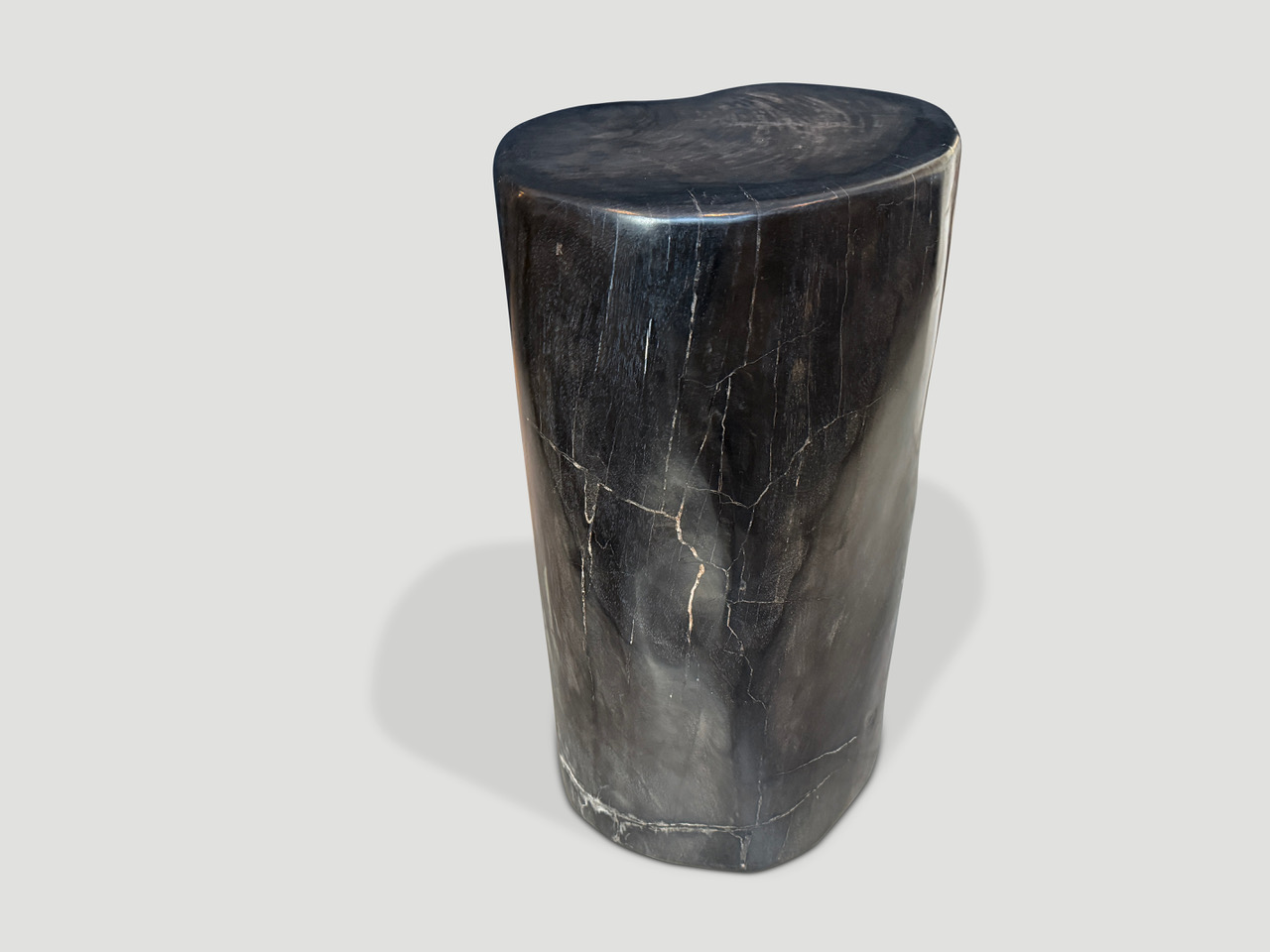 petrified wood side table